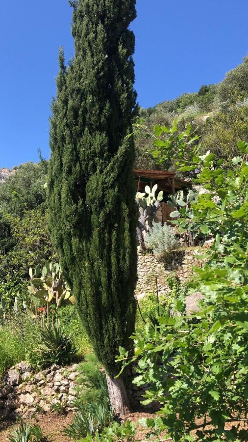Vistalago Garden Doria Monteleone Rocca Doria Εξωτερικό φωτογραφία