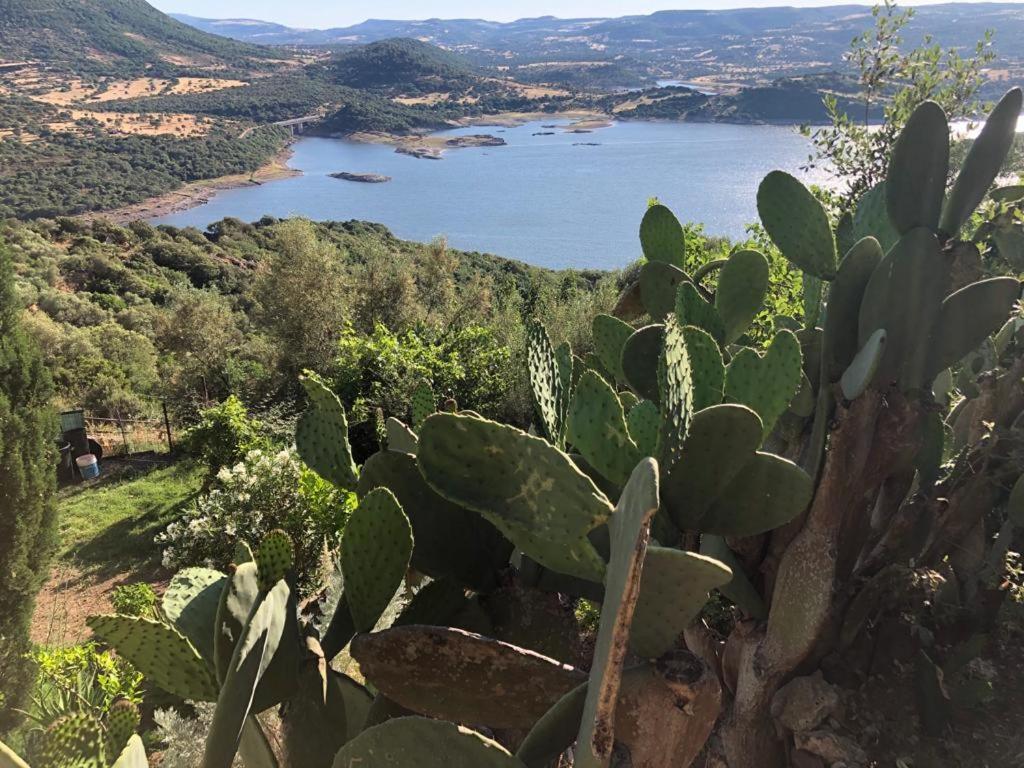 Vistalago Garden Doria Monteleone Rocca Doria Εξωτερικό φωτογραφία