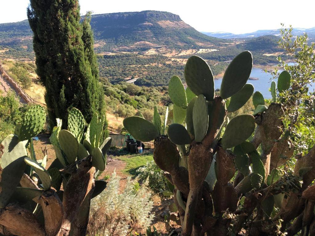 Vistalago Garden Doria Monteleone Rocca Doria Εξωτερικό φωτογραφία