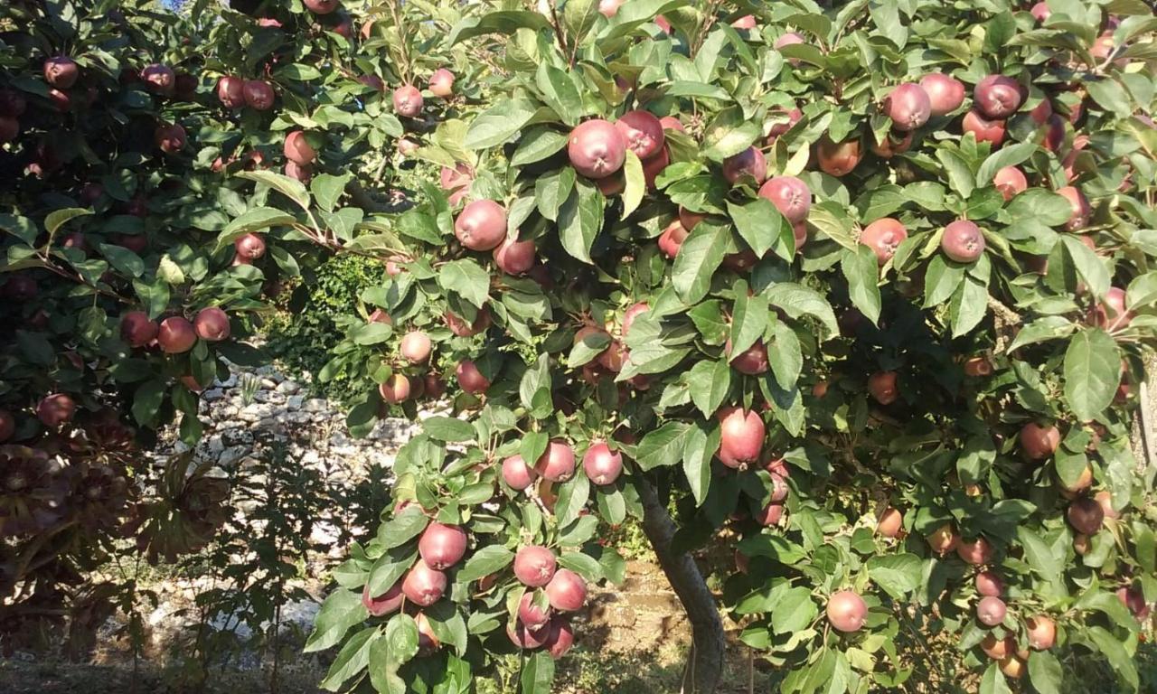 Vistalago Garden Doria Monteleone Rocca Doria Εξωτερικό φωτογραφία